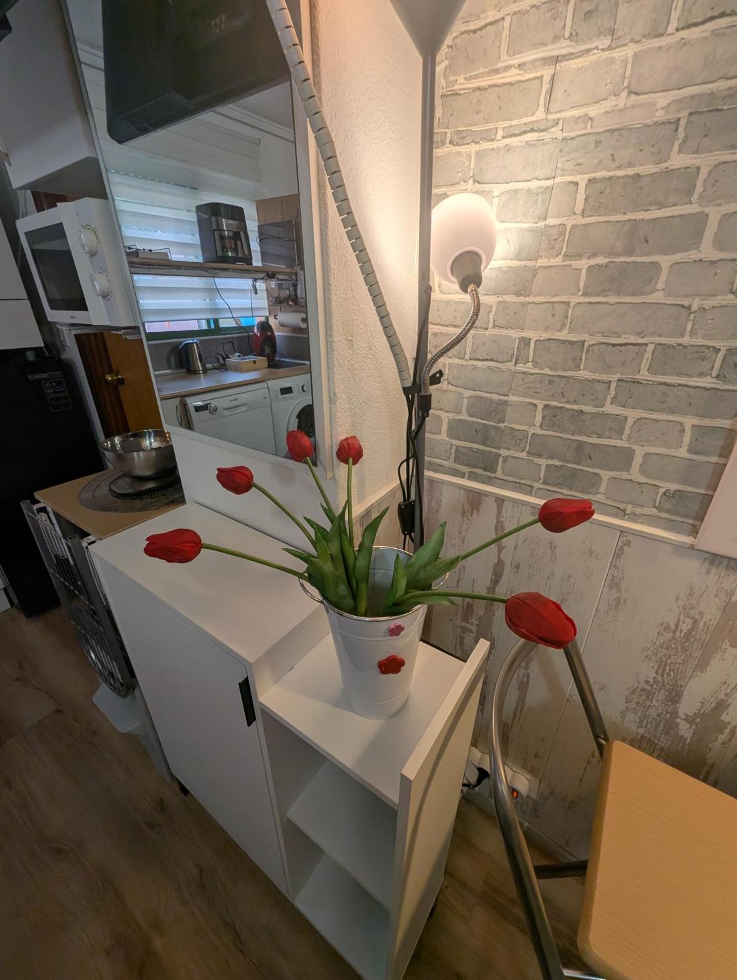 Alicante Postiguet Studios Εξωτερικό φωτογραφία