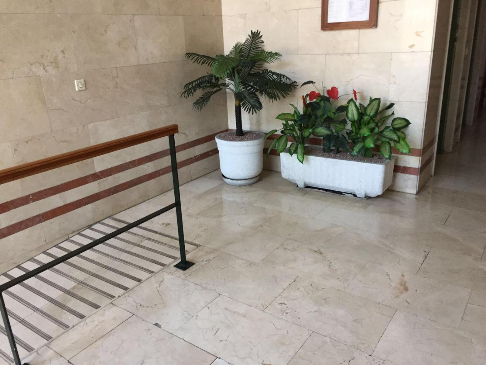 Alicante Postiguet Studios Εξωτερικό φωτογραφία